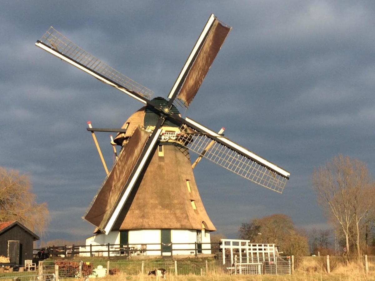 Mondriaanmolen, A Real Windmill Close To Amsterdam Abcoude Zewnętrze zdjęcie