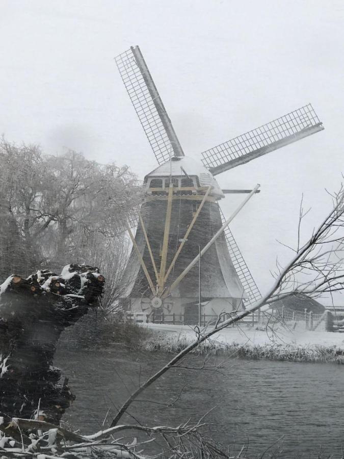 Mondriaanmolen, A Real Windmill Close To Amsterdam Abcoude Zewnętrze zdjęcie